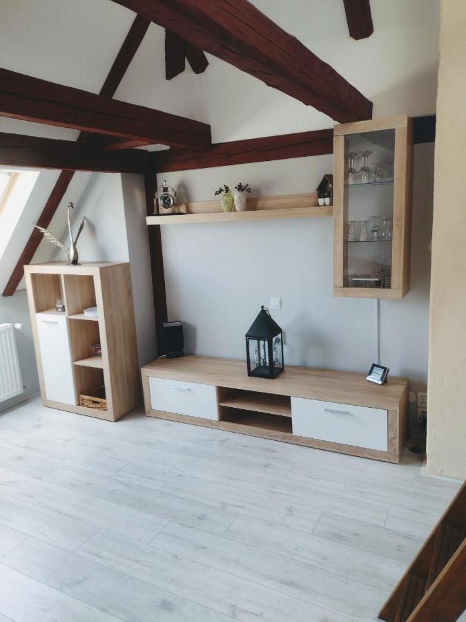 Pension Novy Den Albrechtice  Экстерьер фото