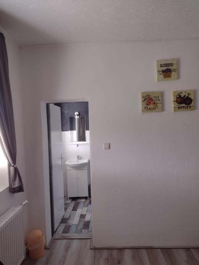 Pension Novy Den Albrechtice  Экстерьер фото