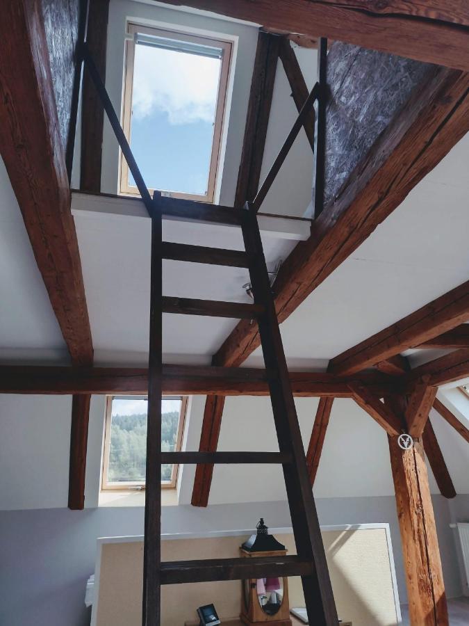 Pension Novy Den Albrechtice  Экстерьер фото