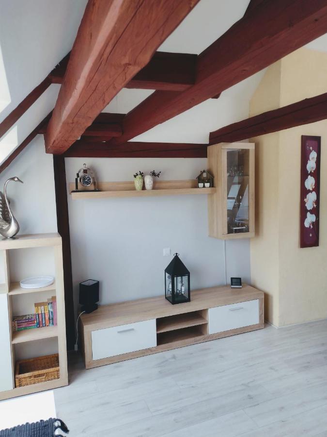 Pension Novy Den Albrechtice  Экстерьер фото