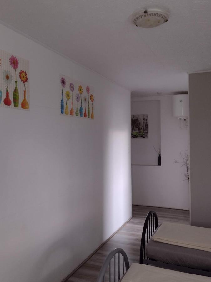 Pension Novy Den Albrechtice  Экстерьер фото