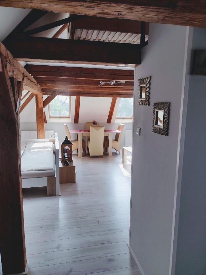 Pension Novy Den Albrechtice  Экстерьер фото