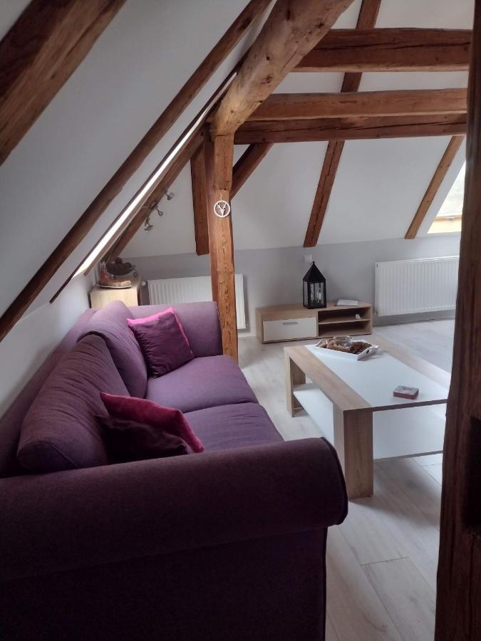 Pension Novy Den Albrechtice  Экстерьер фото