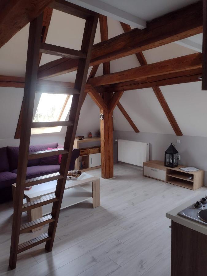Pension Novy Den Albrechtice  Экстерьер фото
