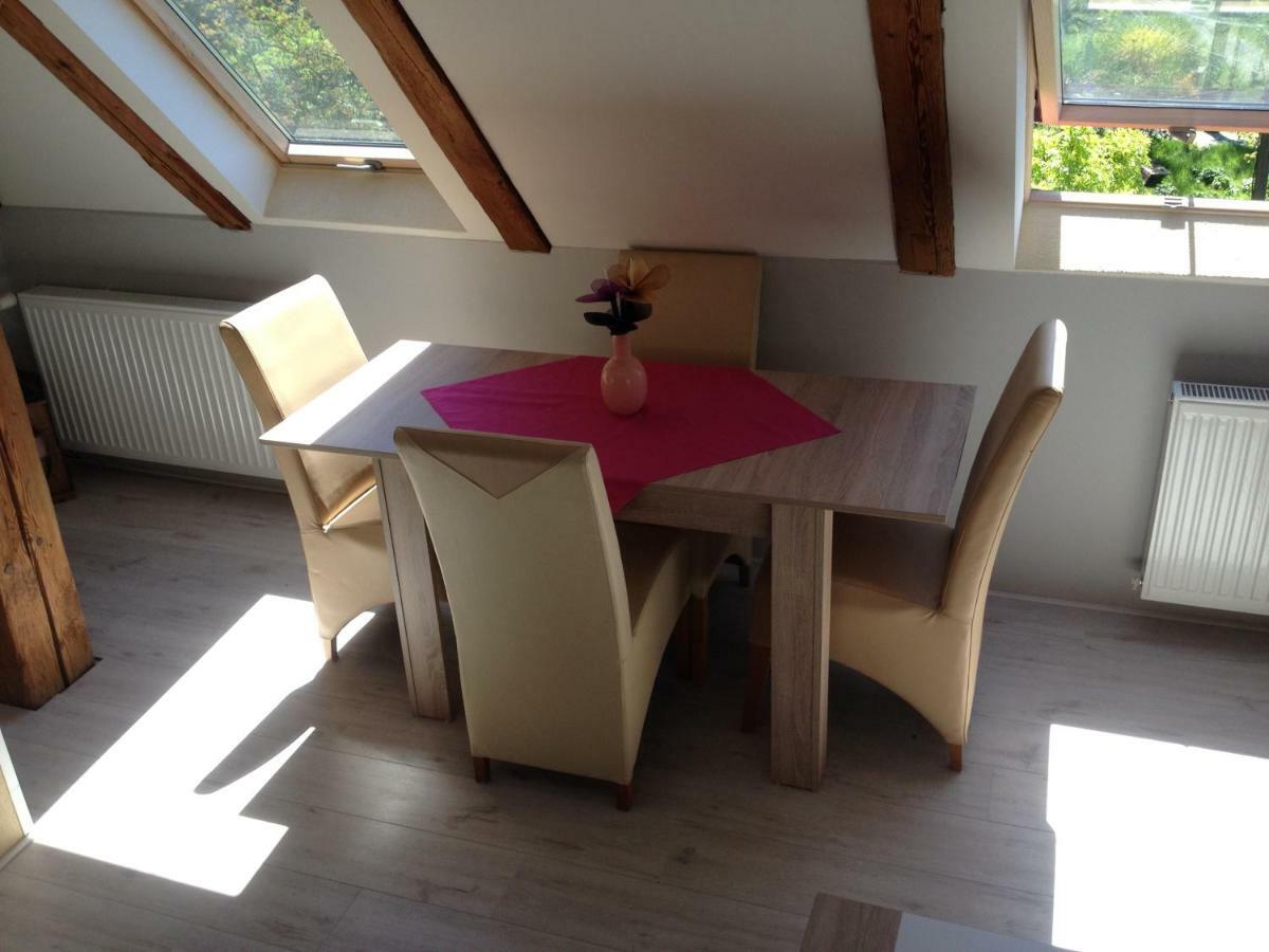 Pension Novy Den Albrechtice  Экстерьер фото