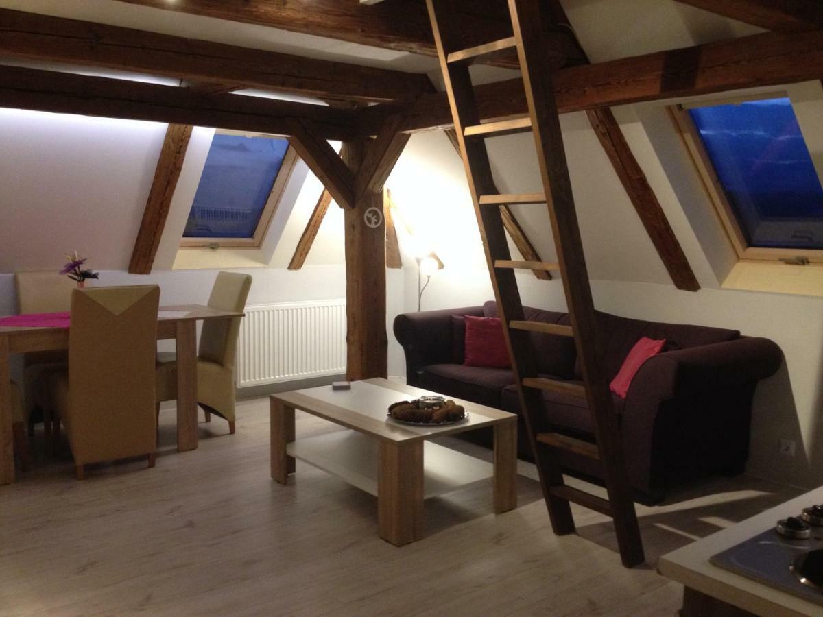 Pension Novy Den Albrechtice  Экстерьер фото